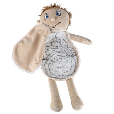 Lalka maskotka nauka anatomii chłopiec